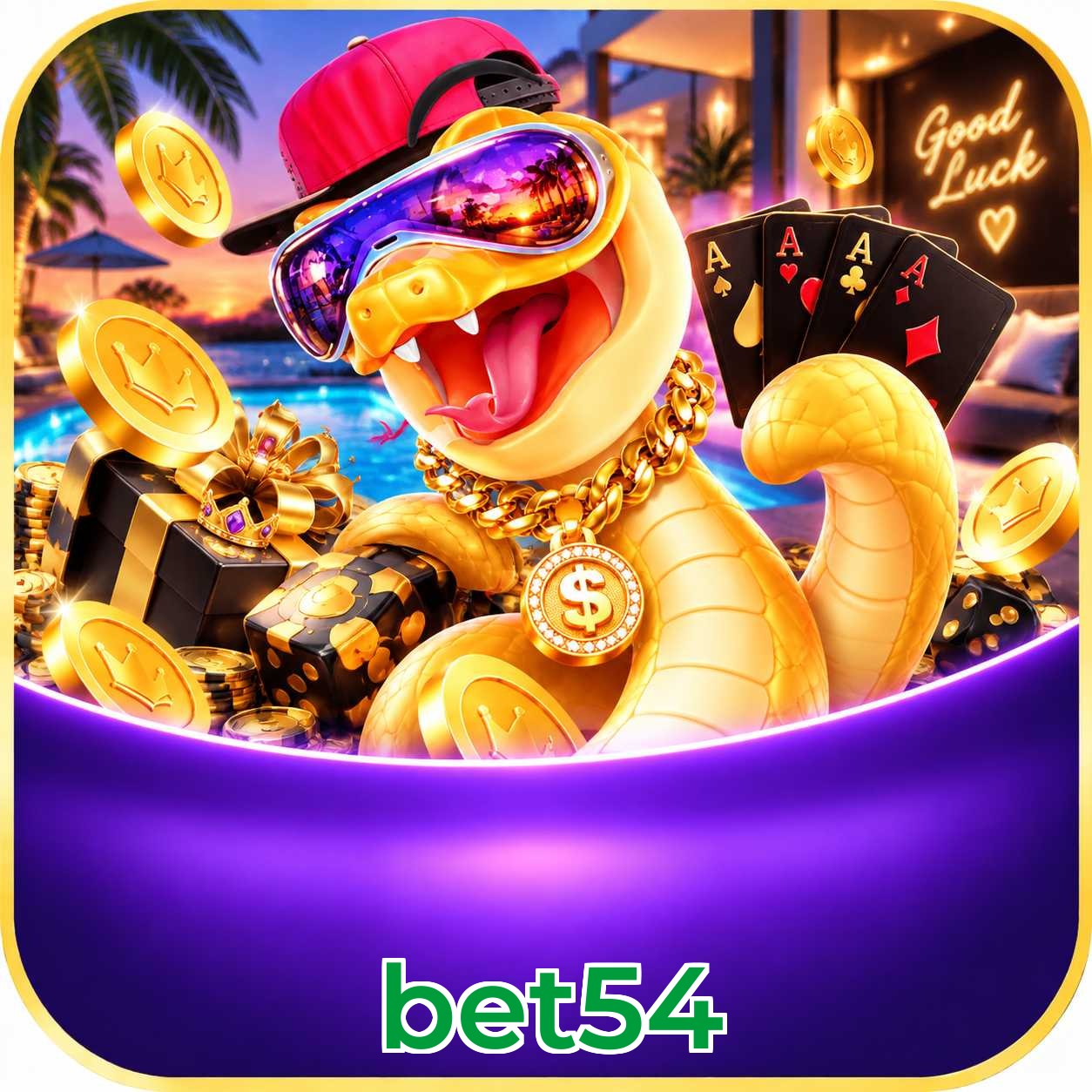 Programa VIP bet54 — 5 níveis de progressão automática